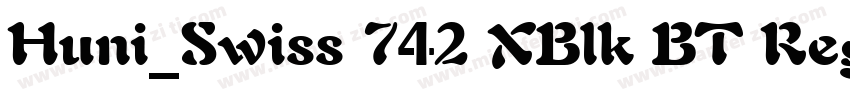 Huni_Swiss 742 XBlk BT Regular字体转换